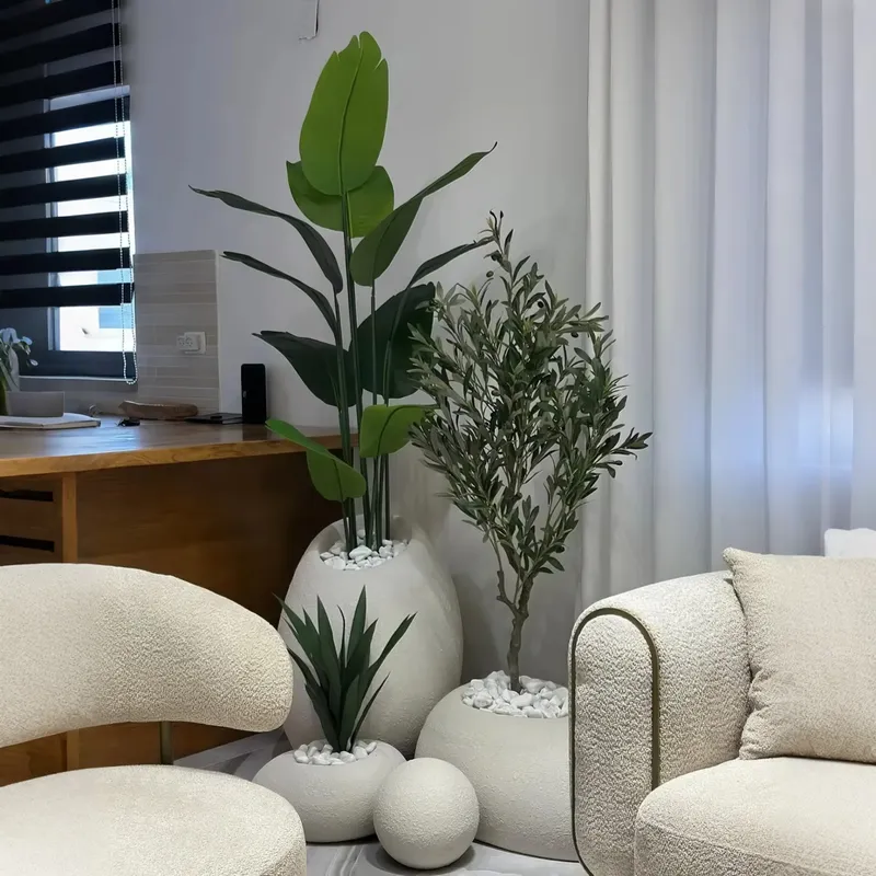様々な鉢植え植物から作る、あなたのオアシスとなる美しい人工盆 - Interior Design Your Home のレビューと価格