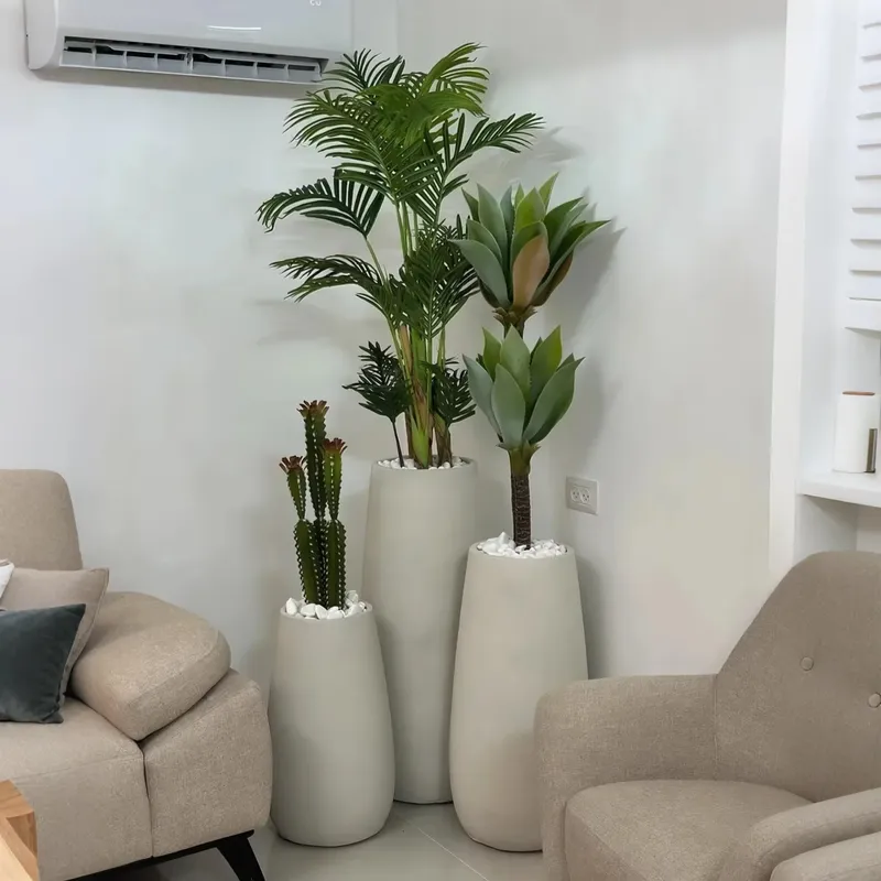 様々な鉢植え植物から作る、あなたのオアシスとなる美しい人工盆 - Interior Design Your Home のレビューと価格